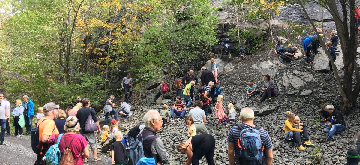 Fossiljakt i Fossildalen